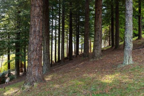 Photo of property in 273 College Street, Motueka, 7196