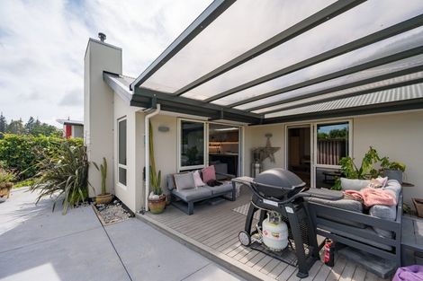 Photo of property in 15 Campbell Street, Nelson South, Nelson, 7010