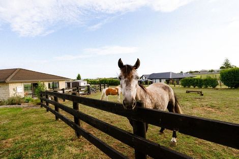 Photo of property in 48 Travers Road, Te Kauwhata, 3782