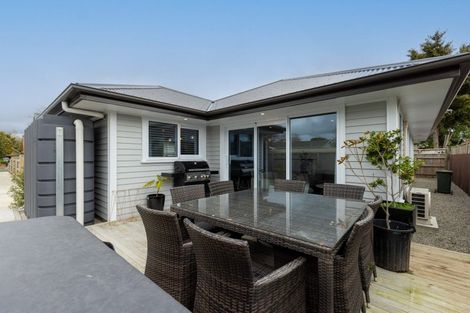 Photo of property in 53b Argyle Avenue, Takaro, Palmerston North, 4410
