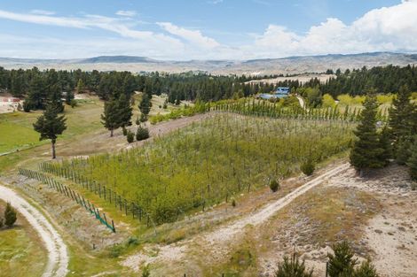 Photo of property in 154 Hillview Road, Alexandra, 9391