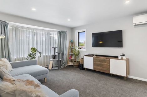 Photo of property in 14 Bradford Street, Bradford, Dunedin, 9011