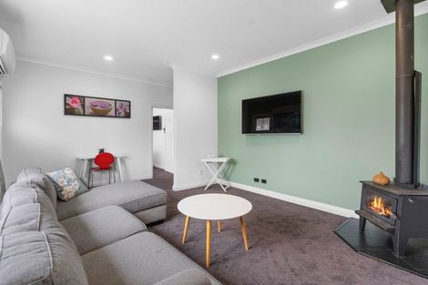 Photo of property in 67 Bannister Street, Masterton, 5810