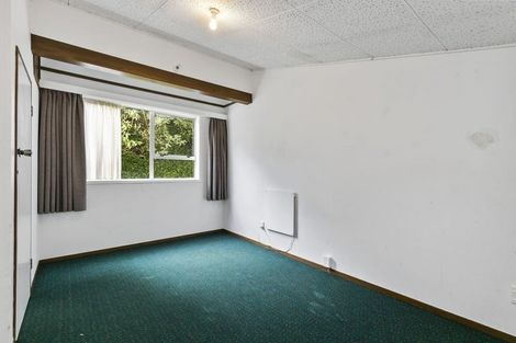 Photo of property in 433c Ohiro Road, Brooklyn, Wellington, 6021