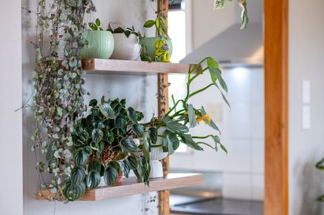 Photo of property in 1b Tomin Road, Glenview, Hamilton, 3206