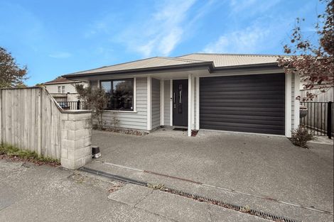 Photo of property in 169 Ruahine Street, Roslyn, Palmerston North, 4414