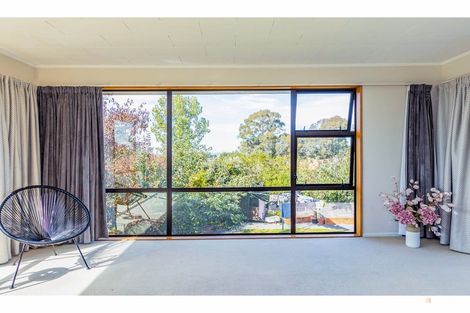 Photo of property in 13 Darby Street, Geraldine, 7930