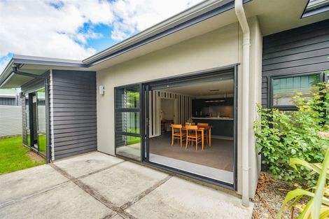 Photo of property in 12a Conway Place, Terrace End, Palmerston North, 4410