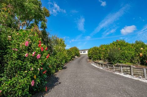 Photo of property in 42 Colonel Mould Drive, Mangonui, 0420