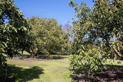 Photo of property in 210 Tuapiro Road, Tahawai, Katikati, 3170