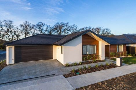 Photo of property in 33 Oakdale Grove, Richmond, 7020