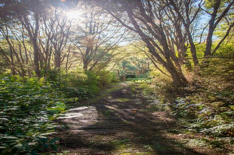 Photo of property in 649 Riverside Road, Matokitoki, Gisborne, 4071