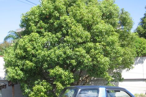 Photo of property in 1/33 Braemar Road, Rothesay Bay, Auckland, 0630