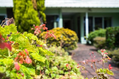 Photo of property in 64 Puriri Park Road, Maunu, Whangarei, 0110