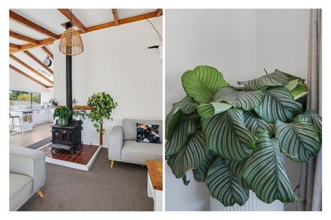 Photo of property in 119 Lowe Avenue, Thames, 3500