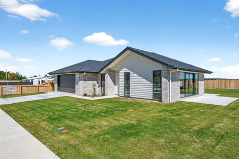 Photo of property in 3 Valentine Street, Lansdowne, 5810