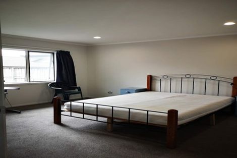 Photo of property in 9b Kakanui Avenue, Hillcrest, Hamilton, 3216