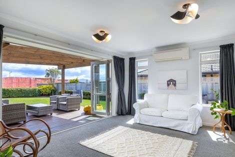 Photo of property in 142 Taylor Pass Road, Witherlea, Blenheim, 7201