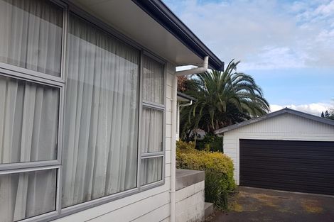 Photo of property in 41 Glamis Avenue, Dinsdale, Hamilton, 3204