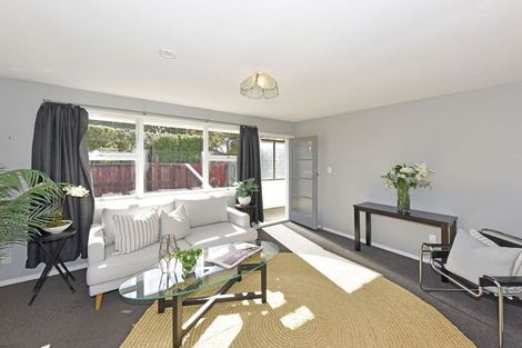 Photo of property in 1/132 Aldwins Road, Phillipstown, Christchurch, 8062
