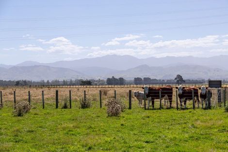 Photo of property in 445 Perrys Road, East Taratahi, Carterton, 5887