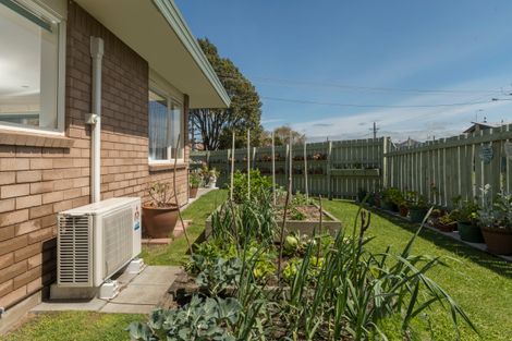 Photo of property in 1 Yatton Street, Greerton, Tauranga, 3112