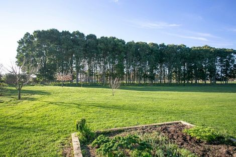 Photo of property in 49 Forrest Road, Cambridge, 3493