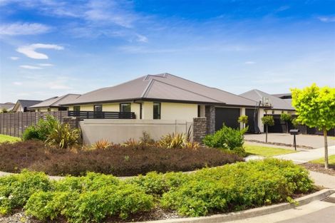Photo of property in 7 Cattermole Street, Kaiapoi, 7630
