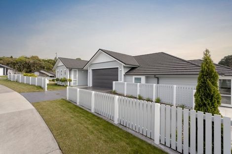 Photo of property in 99 Adler Drive, Ohauiti, Tauranga, 3112