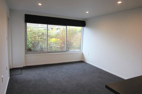 Photo of property in 19a Sheen Street, Roslyn, Dunedin, 9010