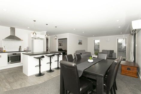 Photo of property in 55a Princes Street, Netherby, Ashburton, 7700