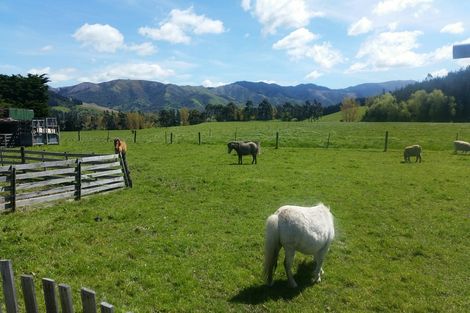 Photo of property in 13 Queens Terrace, Waimate, 7978