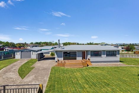 Photo of property in 17 Montgomery Street, Waipukurau, 4200