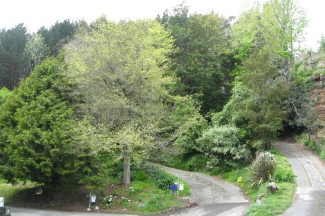 Photo of property in 119 Halifax Street East, The Wood, Nelson, 7010