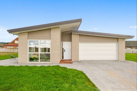 Photo of property in 22 Thorn Street, Levin, 5510