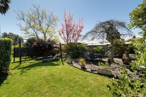 Photo of property in 33 Bramley Drive, Omokoroa, 3114