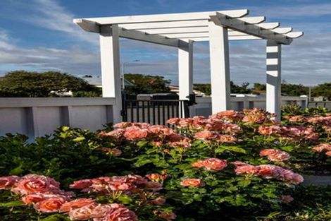 Photo of property in 43 Knowles Street, Terrace End, Palmerston North, 4410