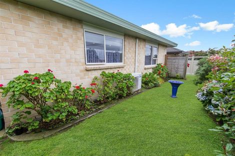 Photo of property in 61 Winchester Street, Levin, 5510