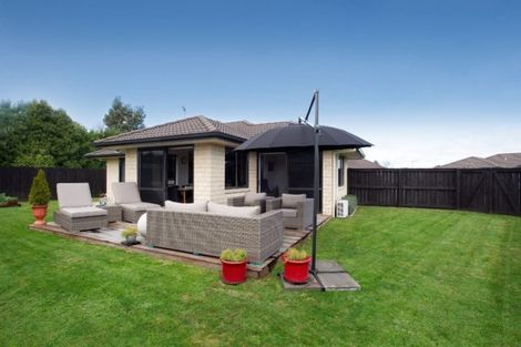 Photo of property in 50 Matipo Street, Matamata, 3400
