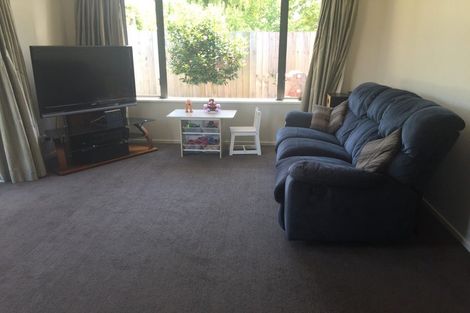 Photo of property in 117a Packe Street, Edgeware, Christchurch, 8013