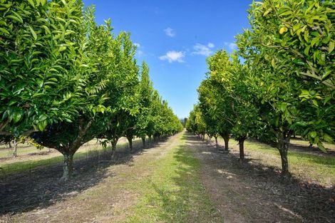 Photo of property in 271 Harper Road, Makauri, Gisborne, 4071