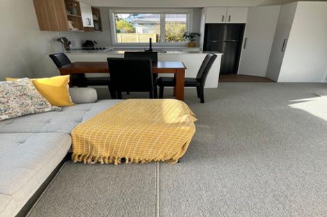 Photo of property in 17b West Avenue, Saint Clair, Dunedin, 9012
