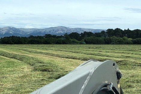 Photo of property in 410 Harmans Gorge Road, View Hill, Oxford, 7495