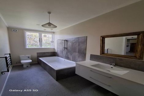 Photo of property in 19 Frederick Street, Terrace End, Palmerston North, 4410