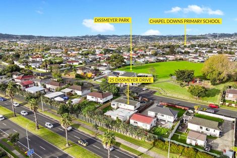 Photo of property in 25 Dissmeyer Drive, Clover Park, Auckland, 2019