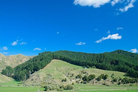 Photo of property in 1215 Wharekopae Road, Ngatapa, Gisborne, 4072