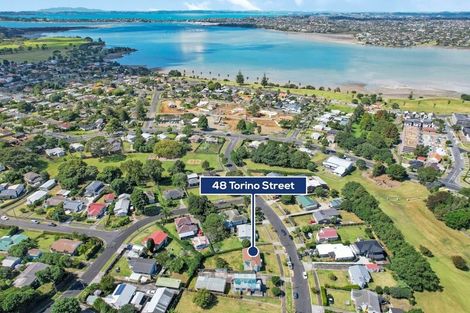 Photo of property in 48 Torino Street, Point England, Auckland, 1072