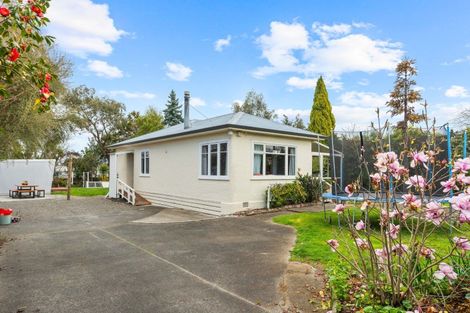 Photo of property in 35 Cornwall Street, Masterton, 5810