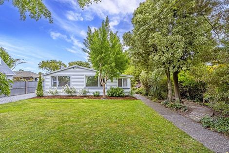 Photo of property in 43 Croziers Road, St Albans, Christchurch, 8052