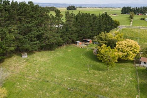 Photo of property in 815 Reid Line East, Bunnythorpe, Palmerston North, 4481